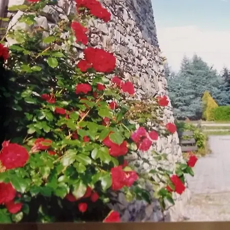 펜션 Casa San Martino